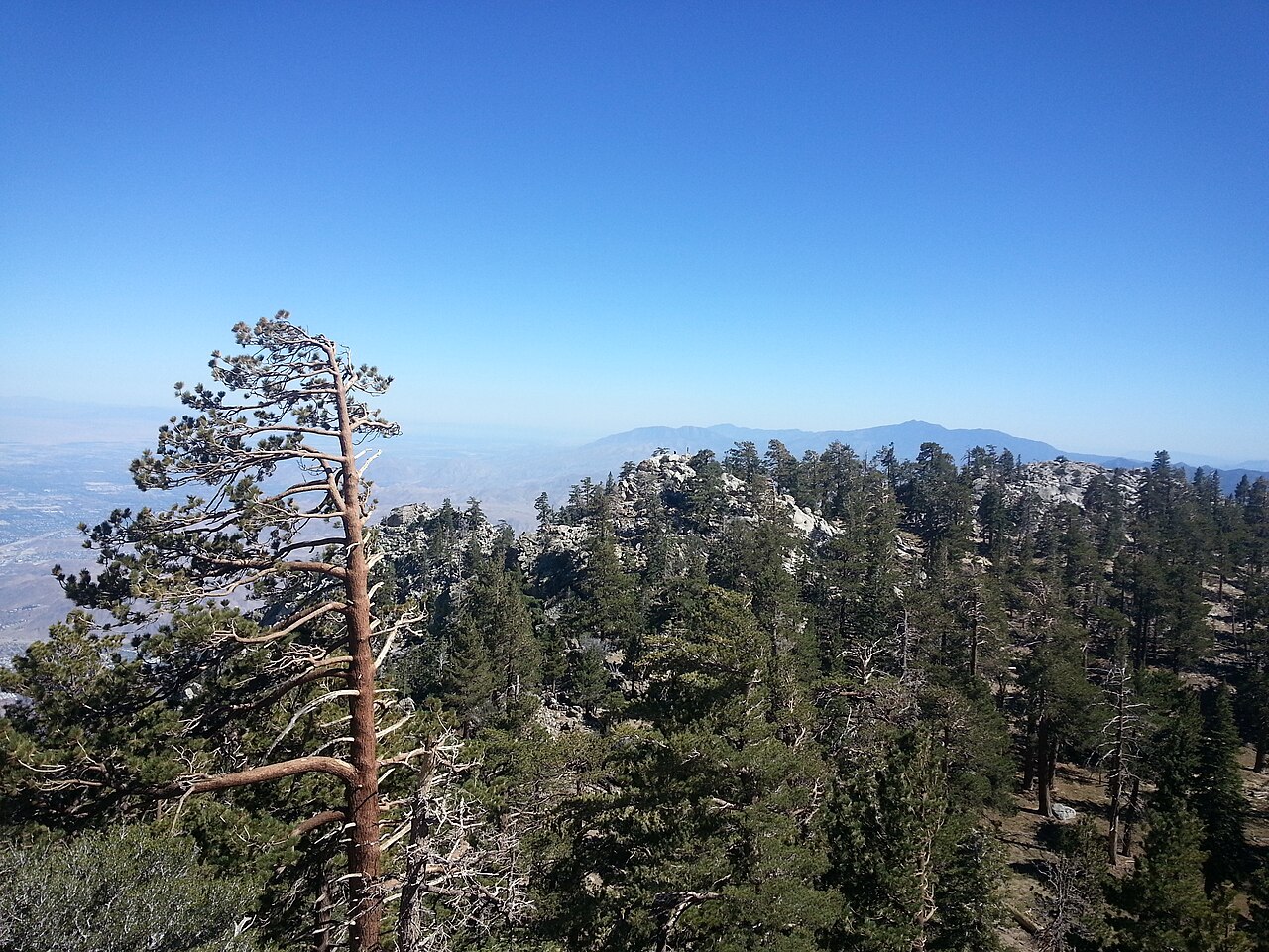 Orchards and foothills around San Jacinto, California